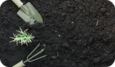 Dealing with Contaminated Soil in Vancouver? Here’s What You Need to Know