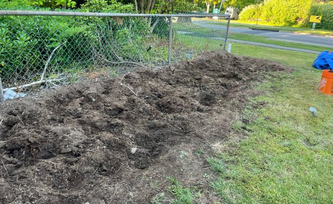 WhatsApp Image 2025-10-16 at 9.53.49 PM